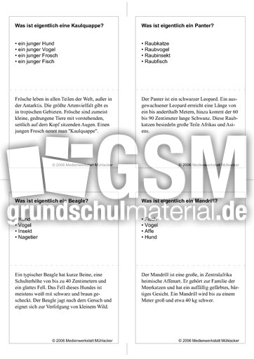 Quiz-Karten-Tiernamen 45.pdf